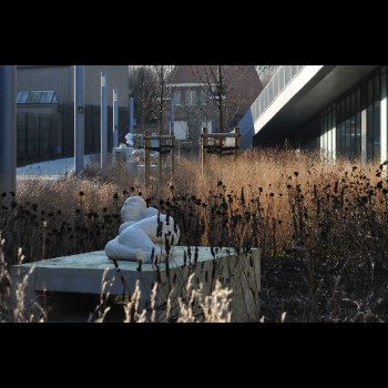 BIBLIOTHEEKTUIN - DENDERMONDE winterbeeld (2)